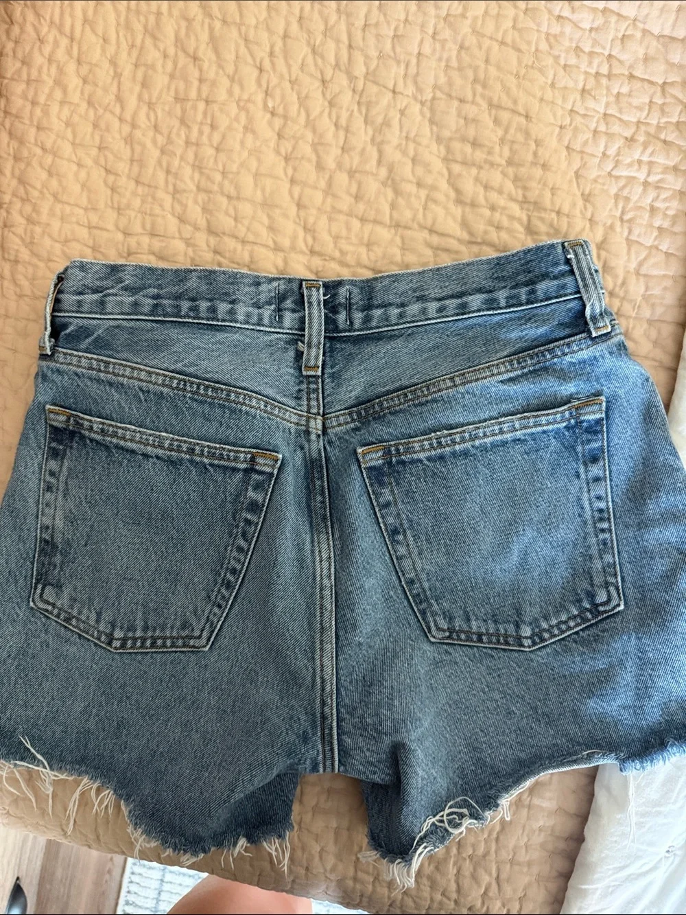 Agolde Parker Long Shorts